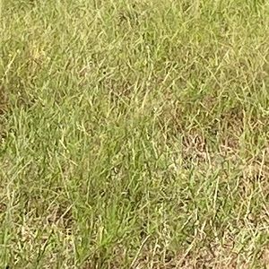 Meet your Posher, Jude